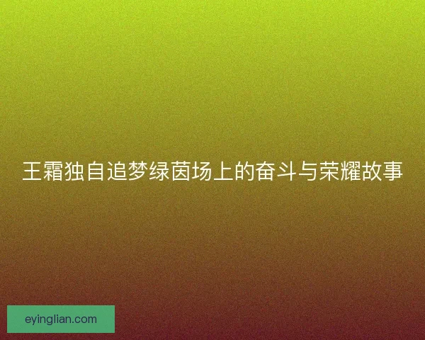 王霜独自追梦绿茵场上的奋斗与荣耀故事